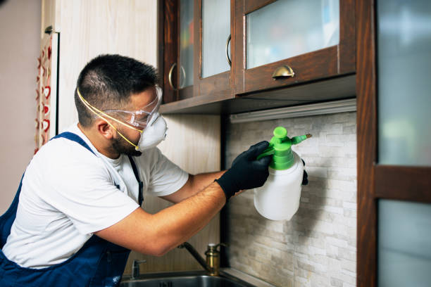Best Residential Pest Control  in Matteson, IL