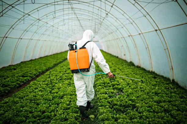 Best Pest Removal Services  in Matteson, IL