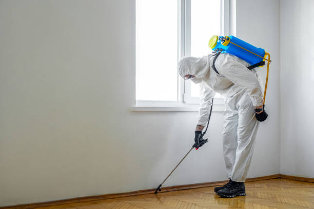 Best Mosquito Control Services  in Matteson, IL