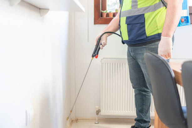 Best Emergency Pest Control  in Matteson, IL