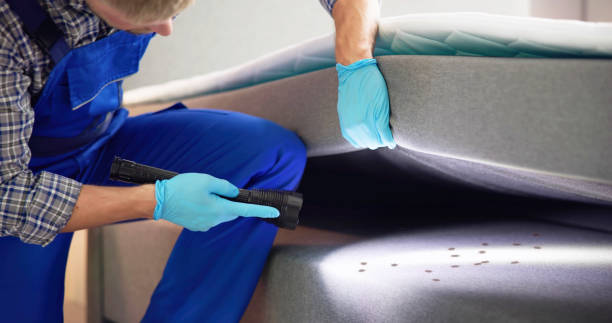 Best Rat Extermination Near Me  in Matteson, IL