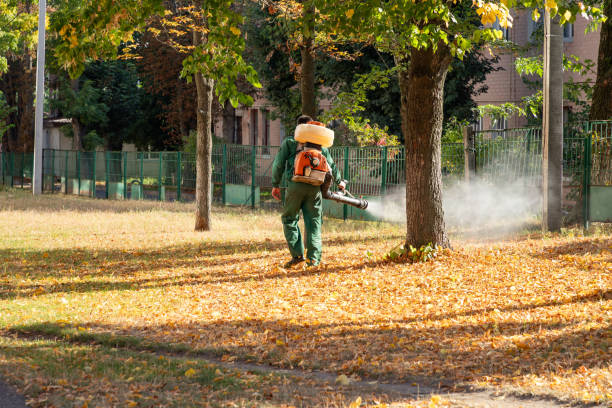 Best Cockroach Control Services  in Matteson, IL