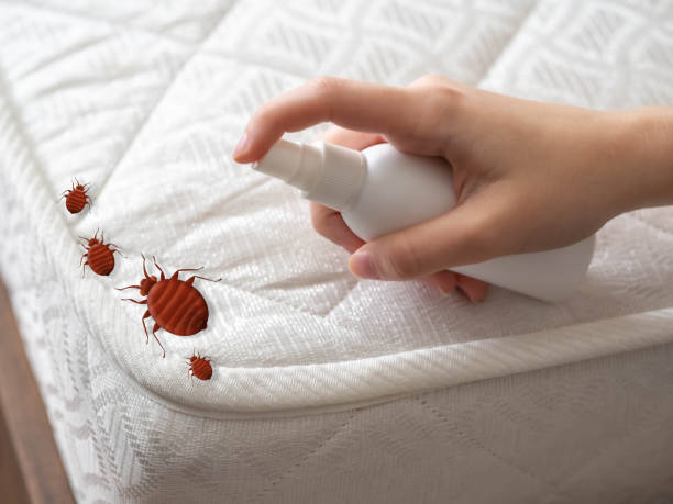 Wildlife Control Services in Matteson, IL