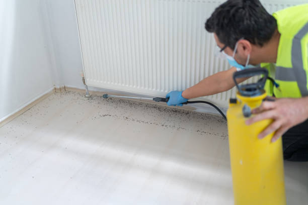 Best Pest Inspection Near Me  in Matteson, IL