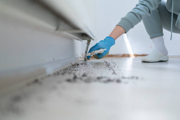 Best Commercial Pest Control Services  in Matteson, IL